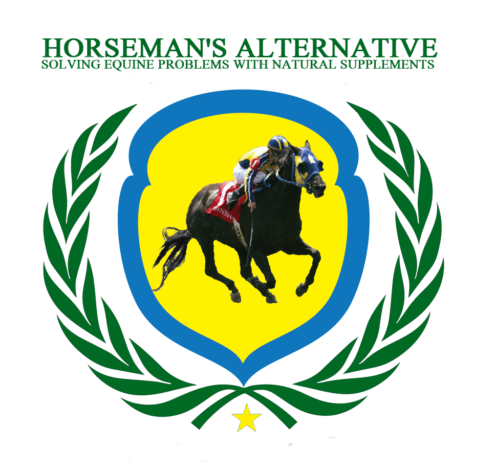 Horseman's Alternative